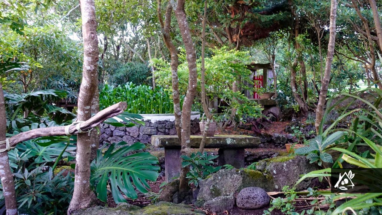 Quinta Do Paraiso Porto Martins Ngoại thất bức ảnh