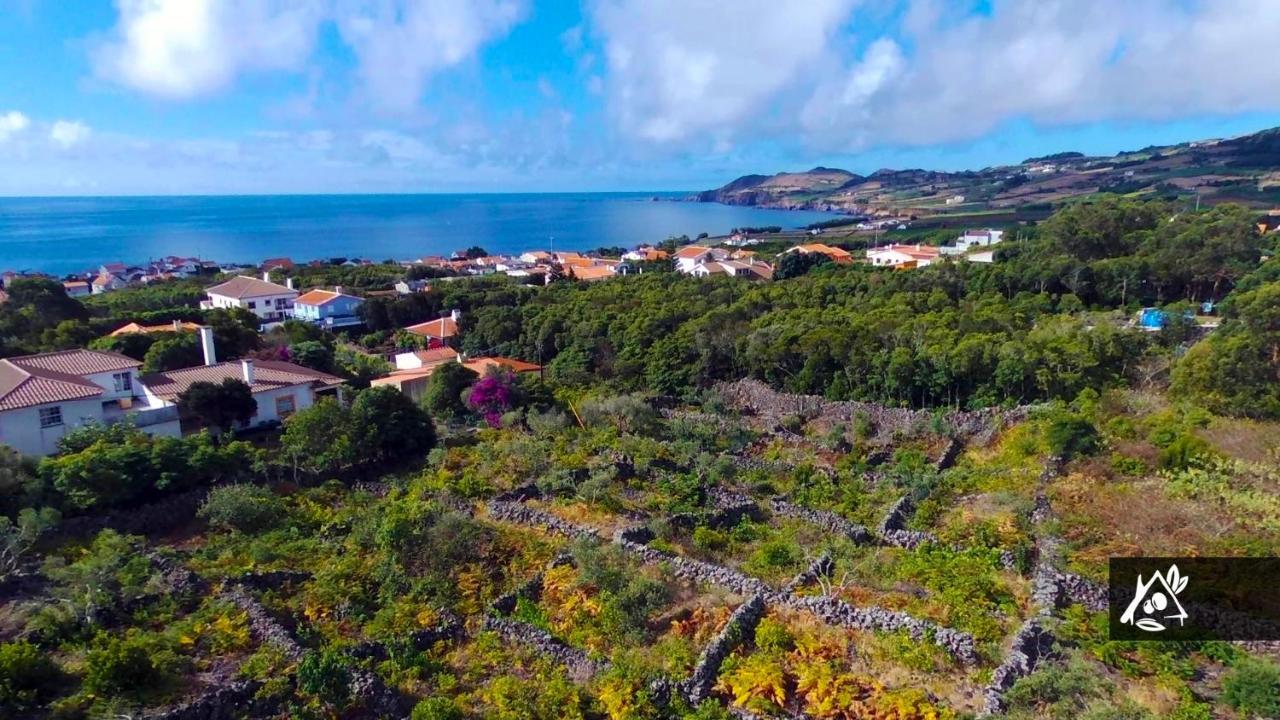Quinta Do Paraiso Porto Martins Ngoại thất bức ảnh