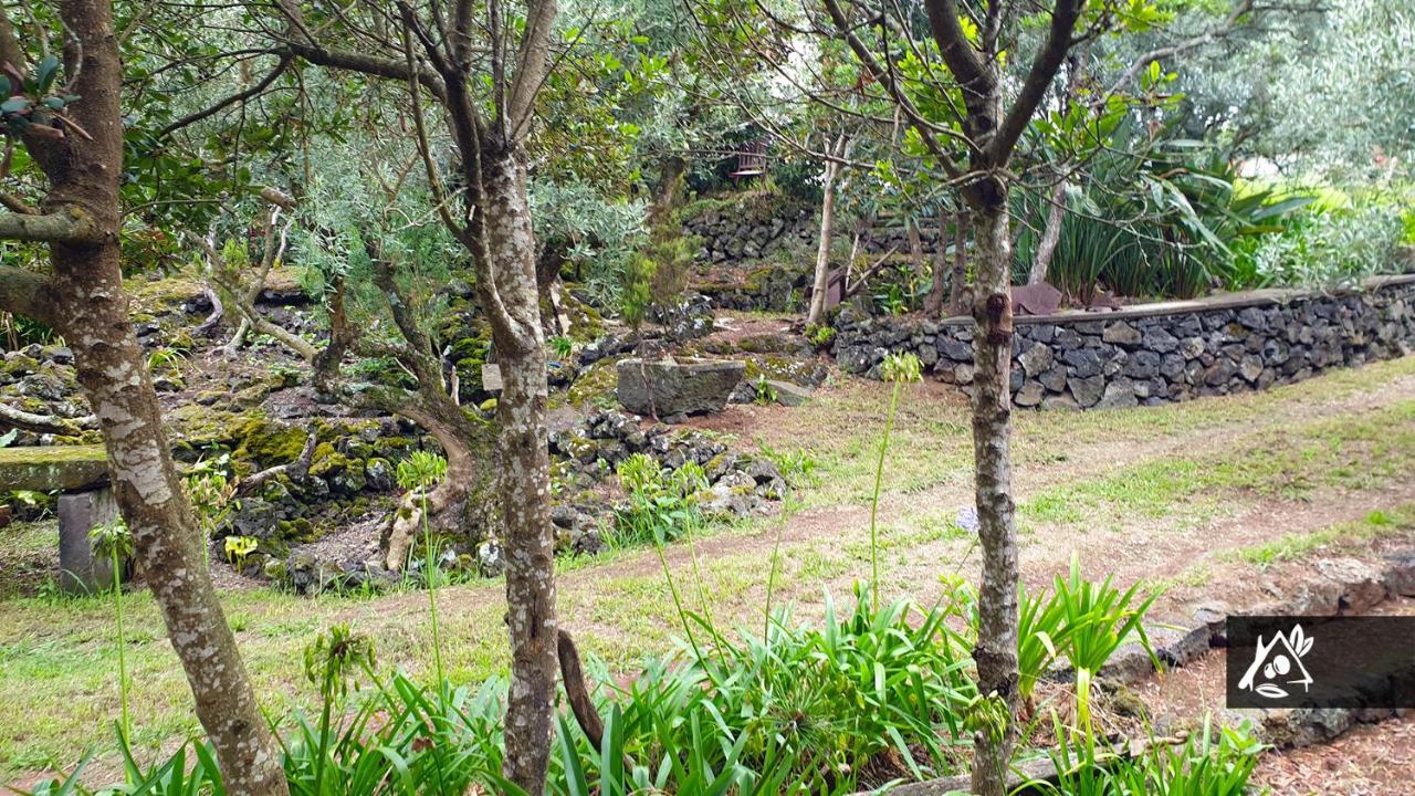 Quinta Do Paraiso Porto Martins Ngoại thất bức ảnh